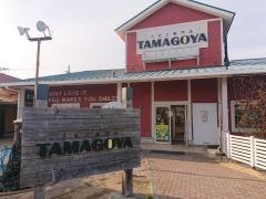 ＴＡＭＡＧＯＹＡ
