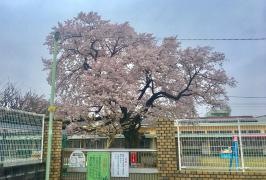 久留米神明幼稚園