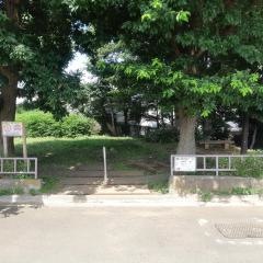 早淵の森緑地