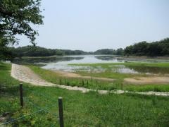 洲原公園