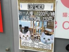 ねこカフェ　ＣＯＴＡ