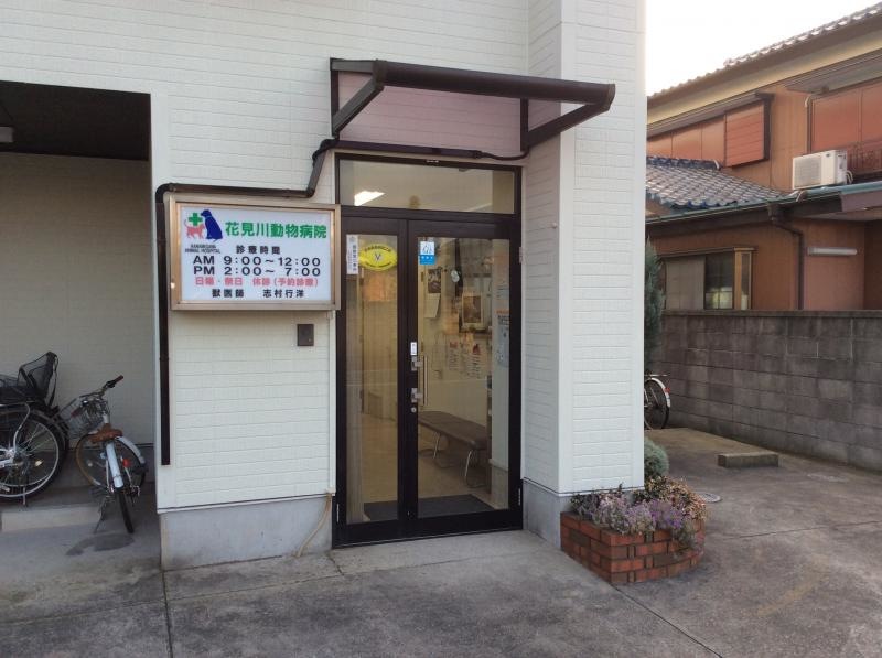 入口