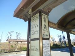 「春野小学校」バス停留所