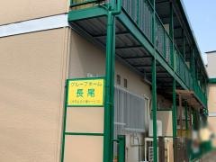 長尾