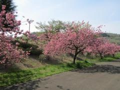 西船迫公園