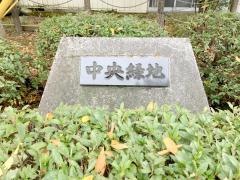 中央緑地