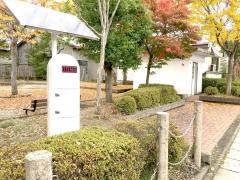 中央緑地