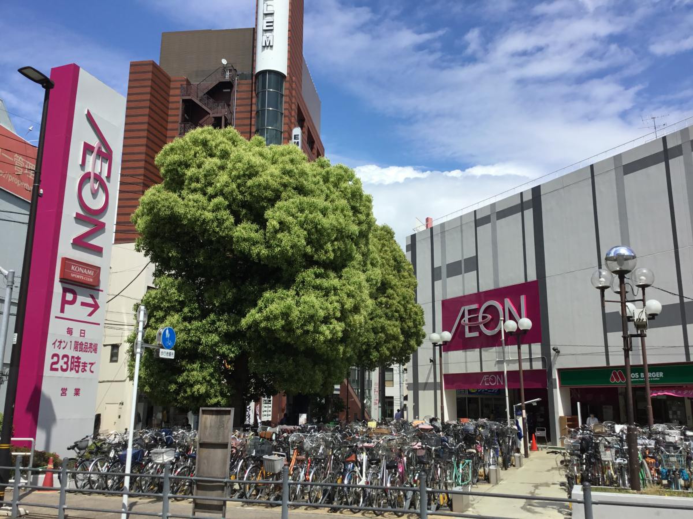 活動歴および当時の関連ビジュアル記録