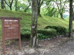 石川県林業試験場樹木公園