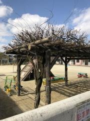 東山こども園