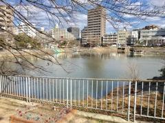 隼人池公園