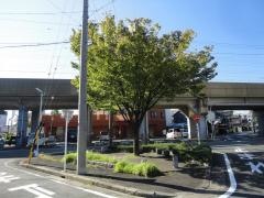 江戸街園