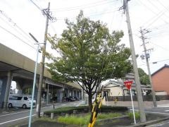 江戸街園