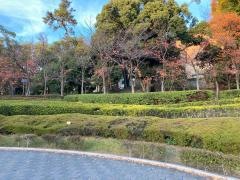 関西大学第一高等学校