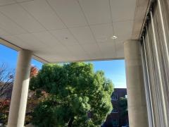 関西大学第一高等学校
