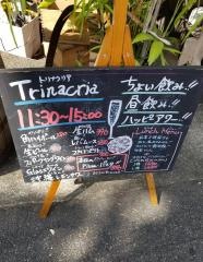 トリナクリア