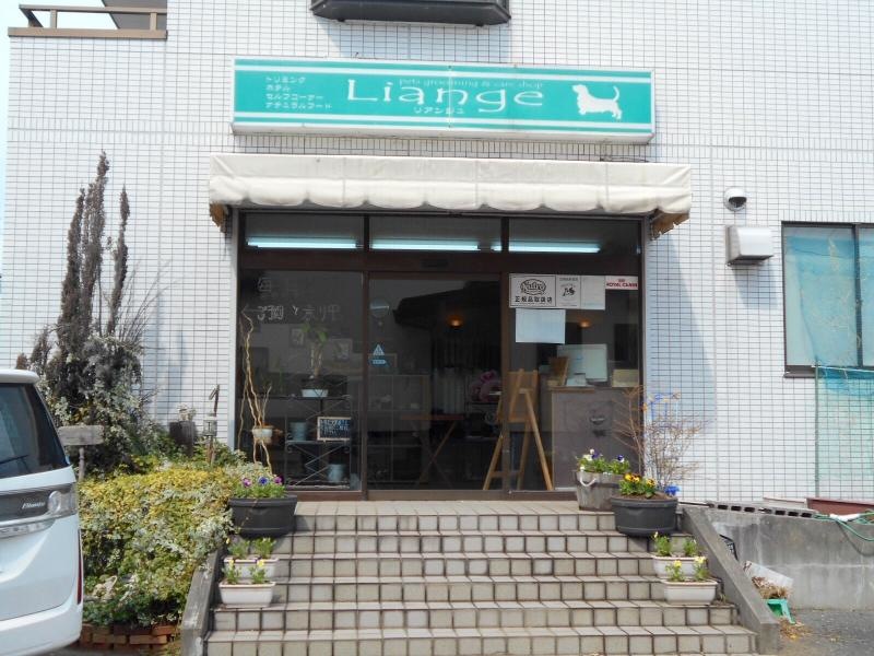 入口付近