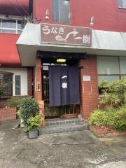 うなぎ一樹