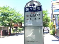 「霞ケ関橋」バス停留所