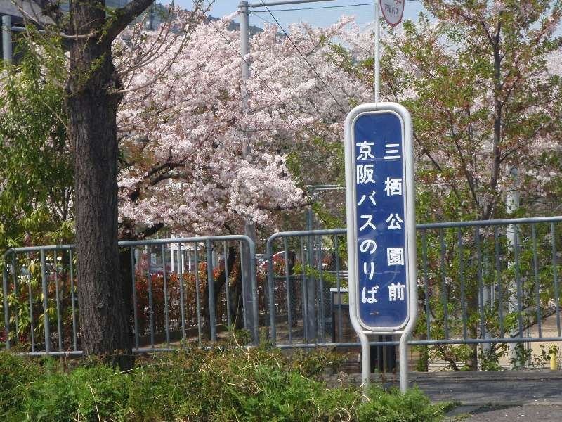 「三栖公園前」バス停留所