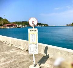 「特牛港」バス停留所