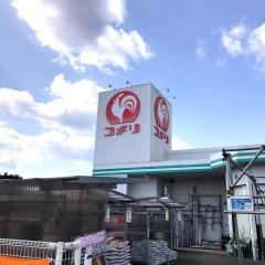 コメリハード＆グリーン　菊水店