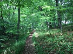 大和田緑地公園