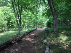 大和田緑地公園