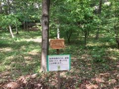 大和田緑地公園