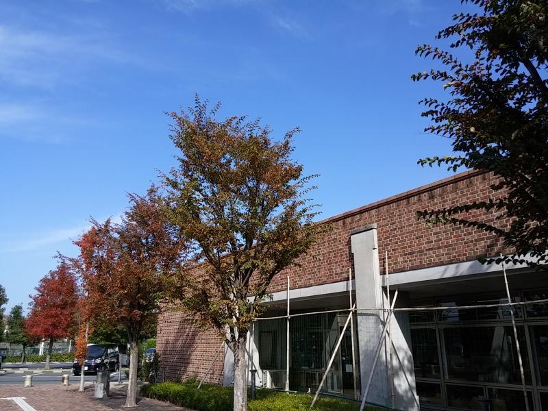 熊取図書館