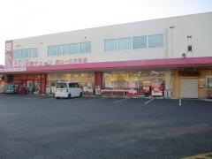 クスリ岩崎チェーン徳山一の井手店