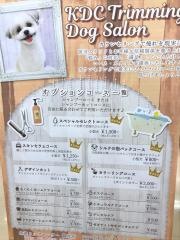 空港ドッグセンター　鶴見店