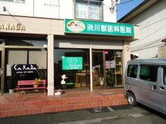 渋川獣医科医院