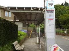 「中央博物館」バス停留所
