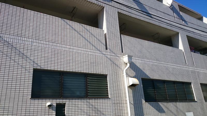 全体