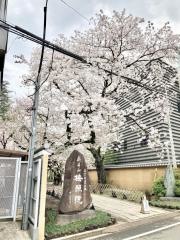 梅照院（新井薬師）