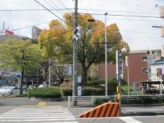 平仲街園