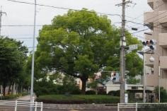平仲街園