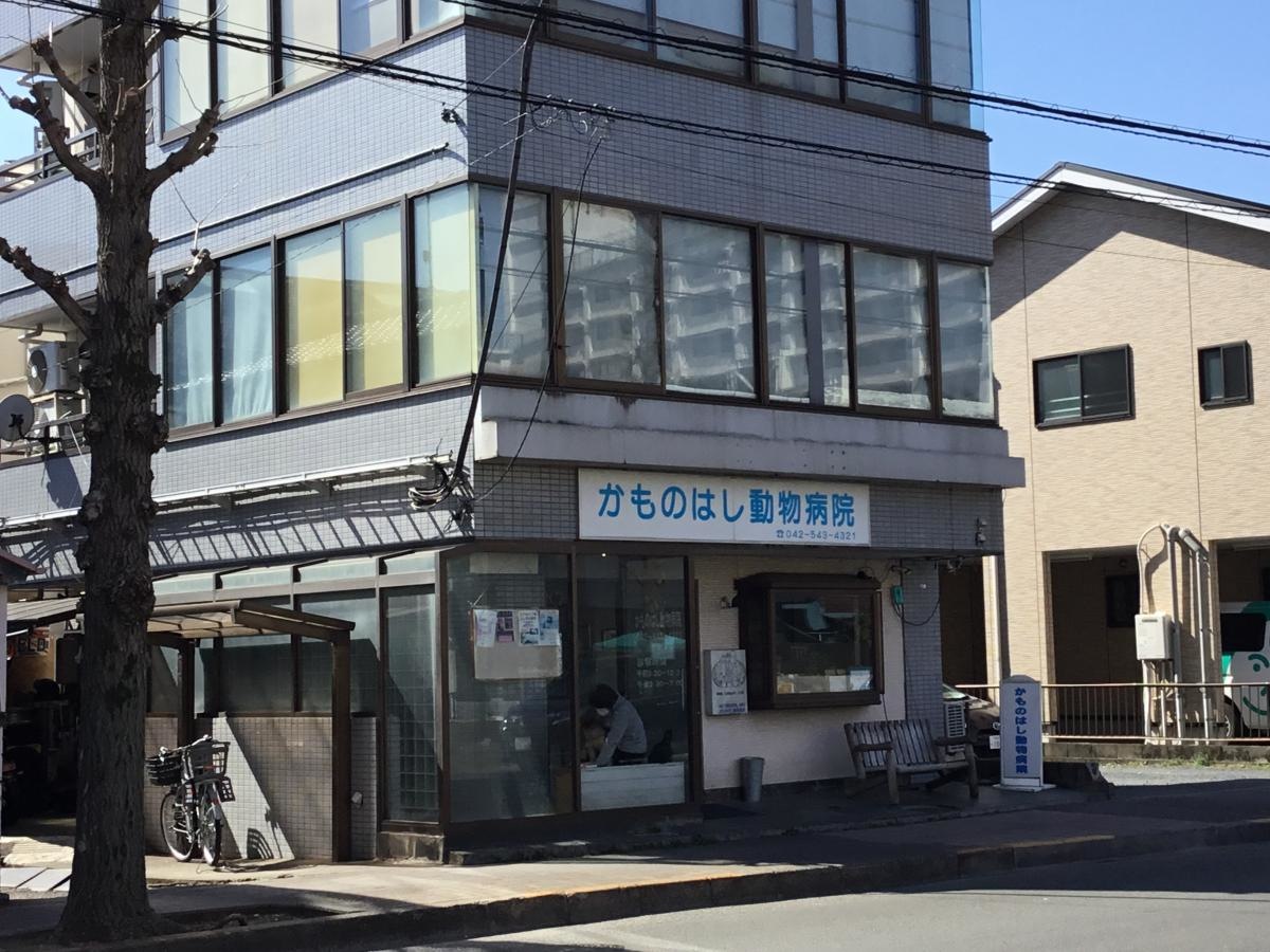 かものはし動物病院