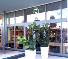 ８ｃａｆｅラザウォーク甲斐双葉店
