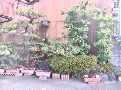 門池