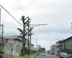 「奈良市庁前」バス停留所
