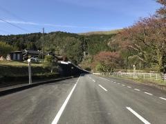 「屋敷」バス停留所