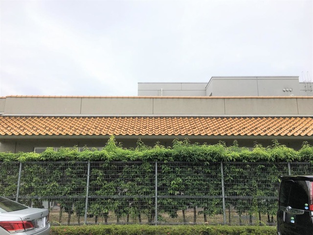 川俣ホーム