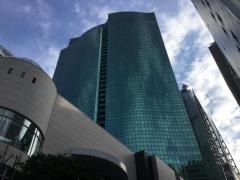 ＡＮＡホールディングス株式会社