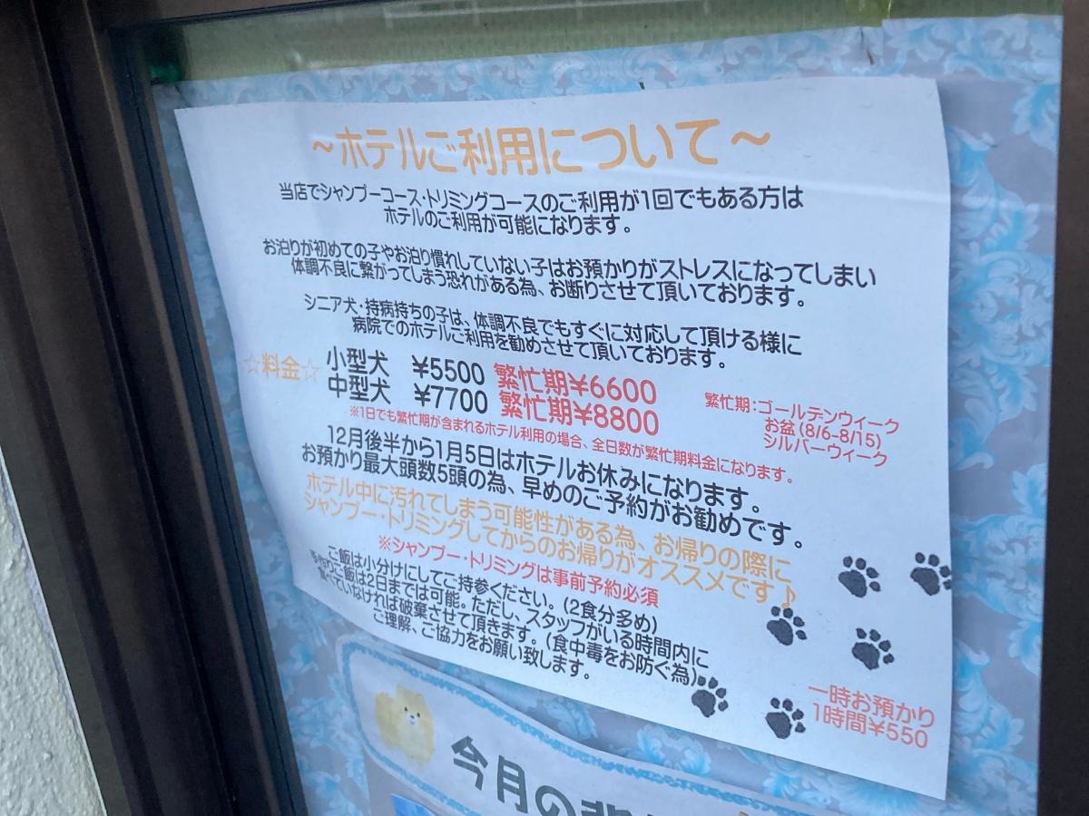 Dogking 大船店