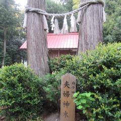 白子神社