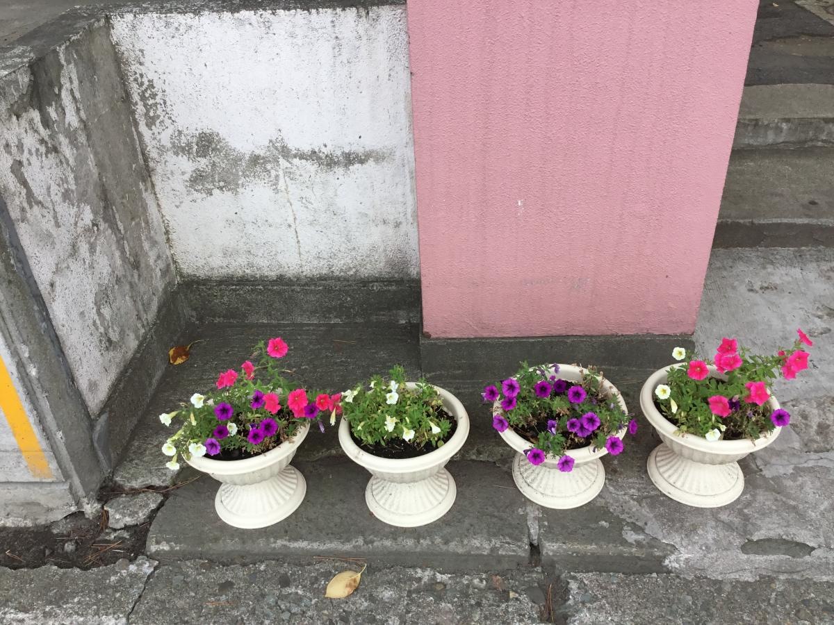 お花