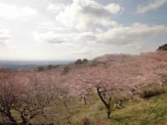 加護坊山自然公園