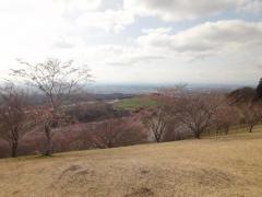 加護坊山自然公園